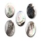 Natural Black Lip Shell Cabochons, Oval, Gray, 26.5x15.5x3mm
