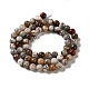 Natural Mexican Agate Beads Strands G-E578-02A-2