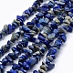 Chapelets de perles en lapis-lazuli naturel X-G-P332-12-1