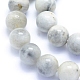 Fili di perline di pietra di luna grigia naturale G-I279-C01-10mm-3