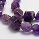 Natural Amethyst Beads Strands G-P184-05-3