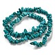 Natural Howlite Beads Strands G-C084-F09-01-3