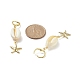 5 paio di conchiglie naturali in stile 5 con orecchini pendenti con perline di perle EJEW-TA00179-3