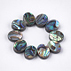 Abalone Shell/Paua Shell Beads SSHEL-T008-04-1