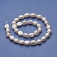 Natural Cultured Freshwater Pearl Beads Strands PEAR-P060-16D-2