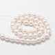 Chapelets de perles en coquille BSHE-L029-01-8mm-2