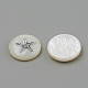 Perles de coquillages naturels d'eau douce X-SHEL-Q011-008P-2