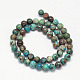 Dyed Natural Ocean Agate/Ocean Jasper Round Beads Strands G-E331-31-3