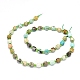 Chapelets de perles en turquoise naturelle G-O201B-38-2