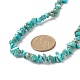 Dyed Synthetic Turquoise Chip Beaded Necklaces with 304 Stainless Steel Lobster Claw Clasp & Chain Extender NJEW-JN04225-05-2