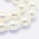 Chapelets de perles de coquille BSHE-P024-12A-3