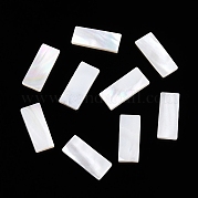 Натуральный белый кабошоны оболочки SSHEL-T017-07