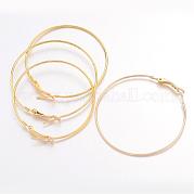 Железные серьги-кольца IFIN-C045-49x1-G