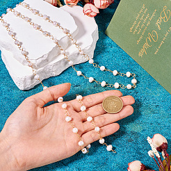 Цепочки из культивированного пресноводного жемчуга ручной работы из 1 нити&nbsp;AJEW-TA0001-93