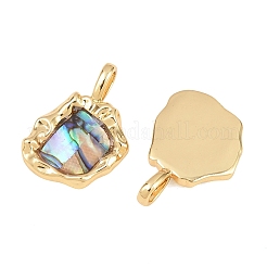 Unregelmäßige Anhänger aus Messing mit natürlicher Paua-Muschel&nbsp;KK-I453-01G-03