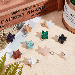 10 шт. 10-цветные подвески из розового кварца G-SC0002-01