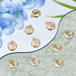 10шт латунные подвески&nbsp;FIND-DC0006-34