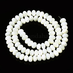 Нити бусин из натуральных трохоидных/трохус ракушек SSHEL-N032-159