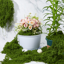 Полиэстер искусственный мох DIY-WH0589-75
