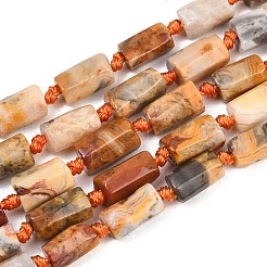 Fili di perline agata pazzesco naturale&nbsp;G-A314-A04-01