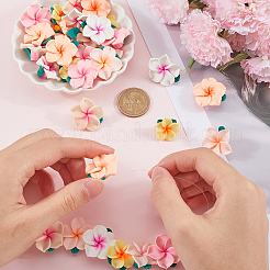 60шт 6 цвета бусины из полимерной глины ручной работы CLAY-SC0002-17