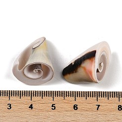 ナチュラルシヴァアイシェルペンダント  貝殻の形のチャーム  砂茶色  14~23x16~24x15~26mm  穴：1.3mm  約86個/500g&nbsp;SHEL-K009-17E