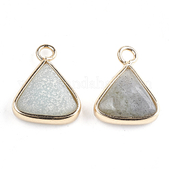 Pendentifs de labradorite naturelle&nbsp;X-G-S344-10C