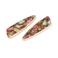 Кулоны из крашеного натурального регалита / императорской яшмы / морской яшмы&nbsp;G-T143-25A