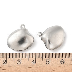 Pendentifs en acier inoxydable 316&nbsp;STAS-D143-01B-P