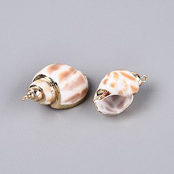 電気メッキ天然貝殻ペンダント  貝殻の形のチャーム  鉄製のループと真鍮製の金具付き  砂茶色  ライトゴールド  26~36x14~22x15~20mm  穴：1.6~1.8mm&nbsp;SSHEL-Q100-09KCG