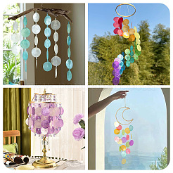 50 шт. подвески-коннекторы в виде ракушек Capiz&nbsp;BSHE-TA0001-20B