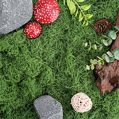 150 г искусственных камней из мха&nbsp;DJEW-SP0001-22A