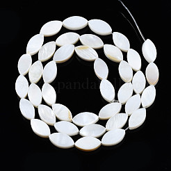 Нити бусин из натуральных пресноводных ракушек SHEL-Q024-017