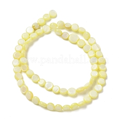 Colliers de perles en coquillage d'eau douce naturelle&nbsp;SH-CBACA76-17