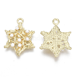 Aluminium Anhänger & Charms&nbsp;LS-PALLOY-R116-06