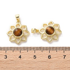 Природных тигровый глаз подвески&nbsp;G-B123-02G-08