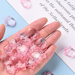 Прозрачные акриловые подвески TACR-S154-28B-26