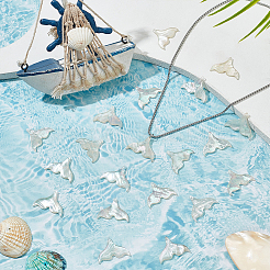 20 шт. подвески из натуральных ракушек SHEL-WR0001-05