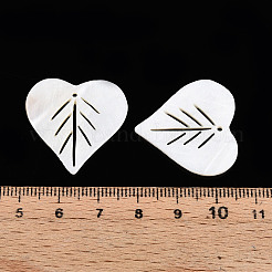 Природные подвески оболочки пресноводных&nbsp;LS-X-SHEL-R021-14