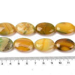 Натуральные полосатые агатовые / полосатые агатовые бусинки&nbsp;G-Q182-01B