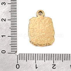 Pendentifs en acier inoxydable 303 émaillé&nbsp;SA-CBA9D90-09G-02
