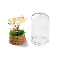 Albero dei soldi con trucioli di quarzo giallo naturale in campane di vetro a cupola con decorazioni espositive con base in legno&nbsp;DJEW-K030-02H