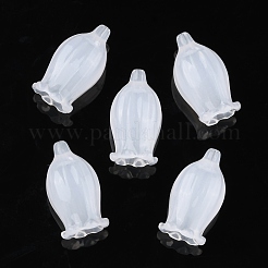 Акриловый шарик крышки X-OACR-K005-05