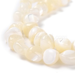Shell perle naturali&nbsp;BSHE-B003-19