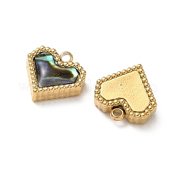 Natur Paua Muschel Anhänger&nbsp;STAS-G397-05G-02