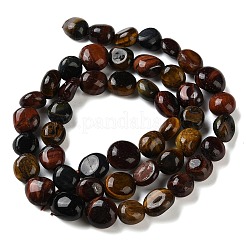 Трехцветные нити бусин из натурального тигрового глаза&nbsp;G-C268-A04-8x10mm