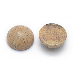 Cabochon di diaspro dell'immagine naturale&nbsp;G-P393-R51-6MM