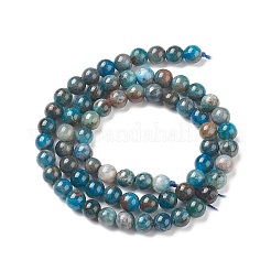 Натуральные апатитовые бусины&nbsp;LS-G-E481-05-6mm-01