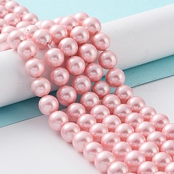 Shell-Perle Perle Stränge&nbsp;X-BSHE-L025-06-8mm