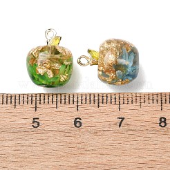 樹脂チャーム  ドライフラワー入りリンゴチャーム  金色の鉄のループで  ミックスカラー  14~14.5x11~11.5mm  穴：1.2mm&nbsp;RESI-I356-02